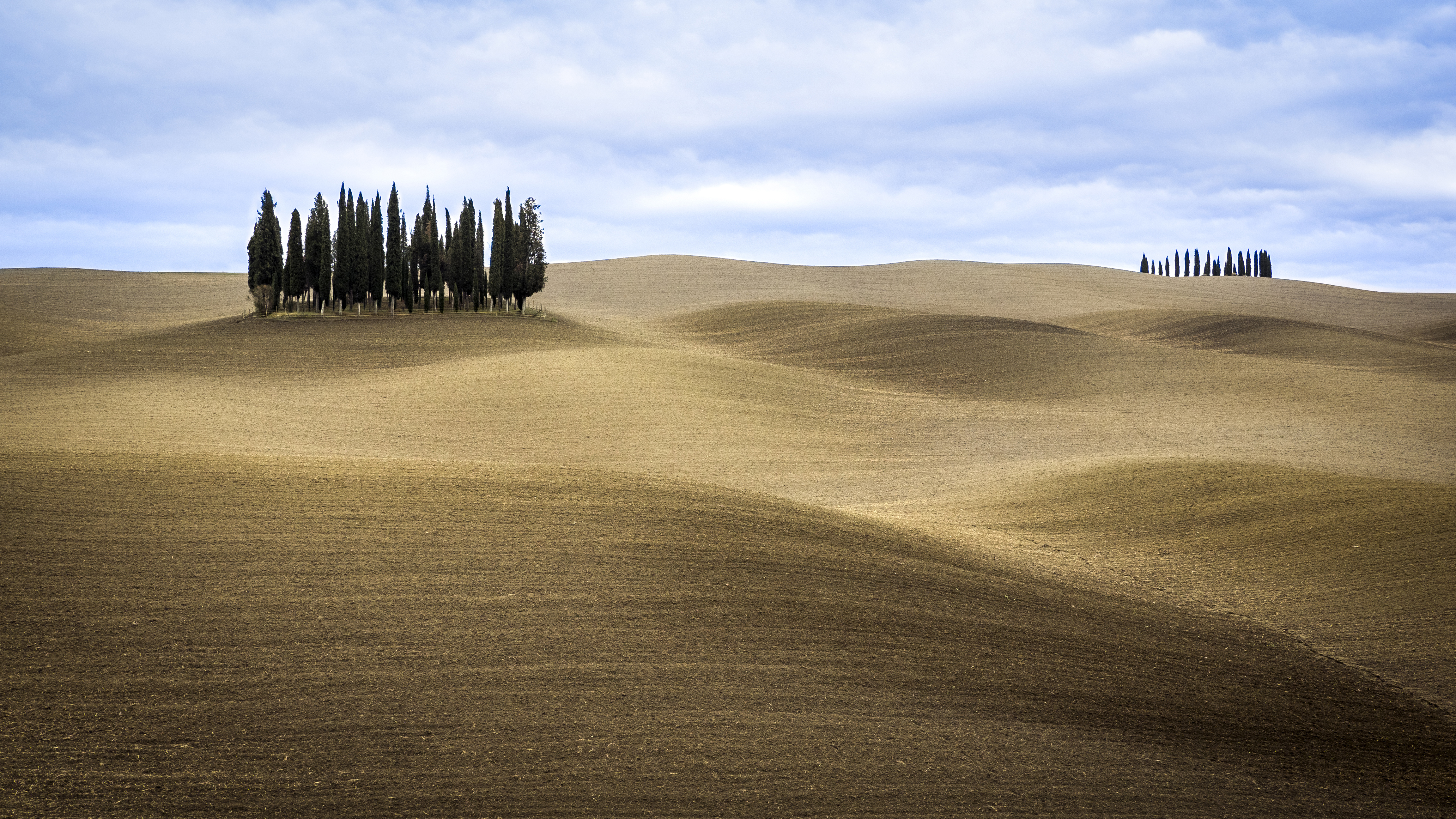 Die Zypressen des Val d’Orcia, in den Lehmhügeln um La Bagnaia bei Siena