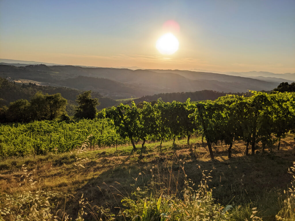 Colline del Chianti al tramonto